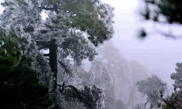 辐射3
