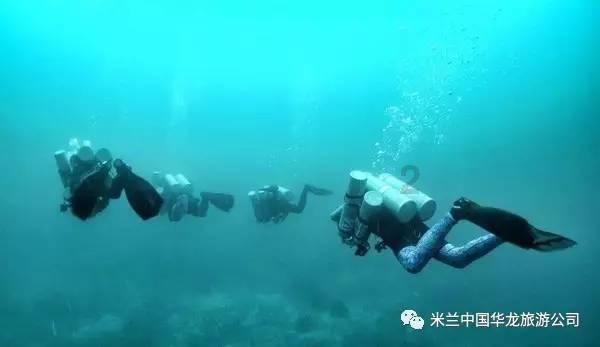 全民剧本大师内置菜单