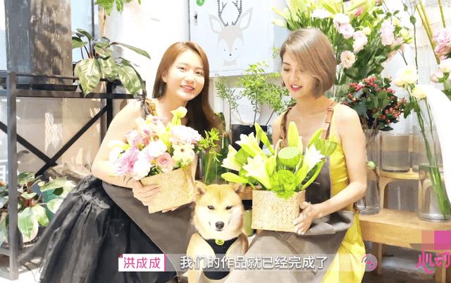 全民烧脑3去广告版
