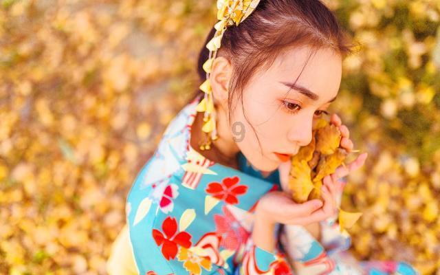 拯救精灵的土地5