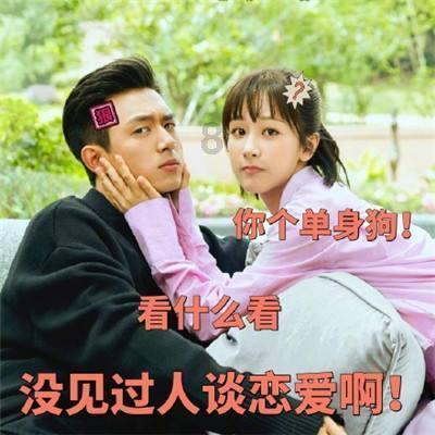 商丘省道317线、省道207线段公路改建工程项目用地预审与规划选址专家论证会召开