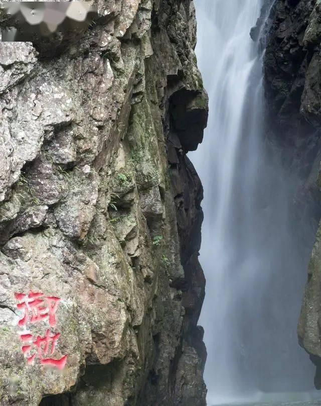 梦想的后院
