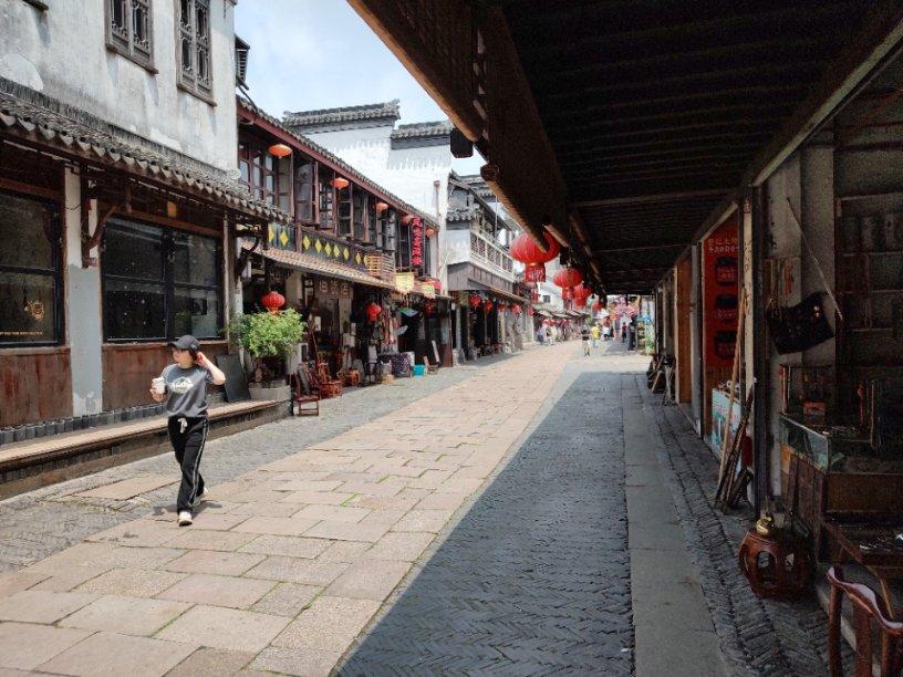 僵尸女友爱爬树