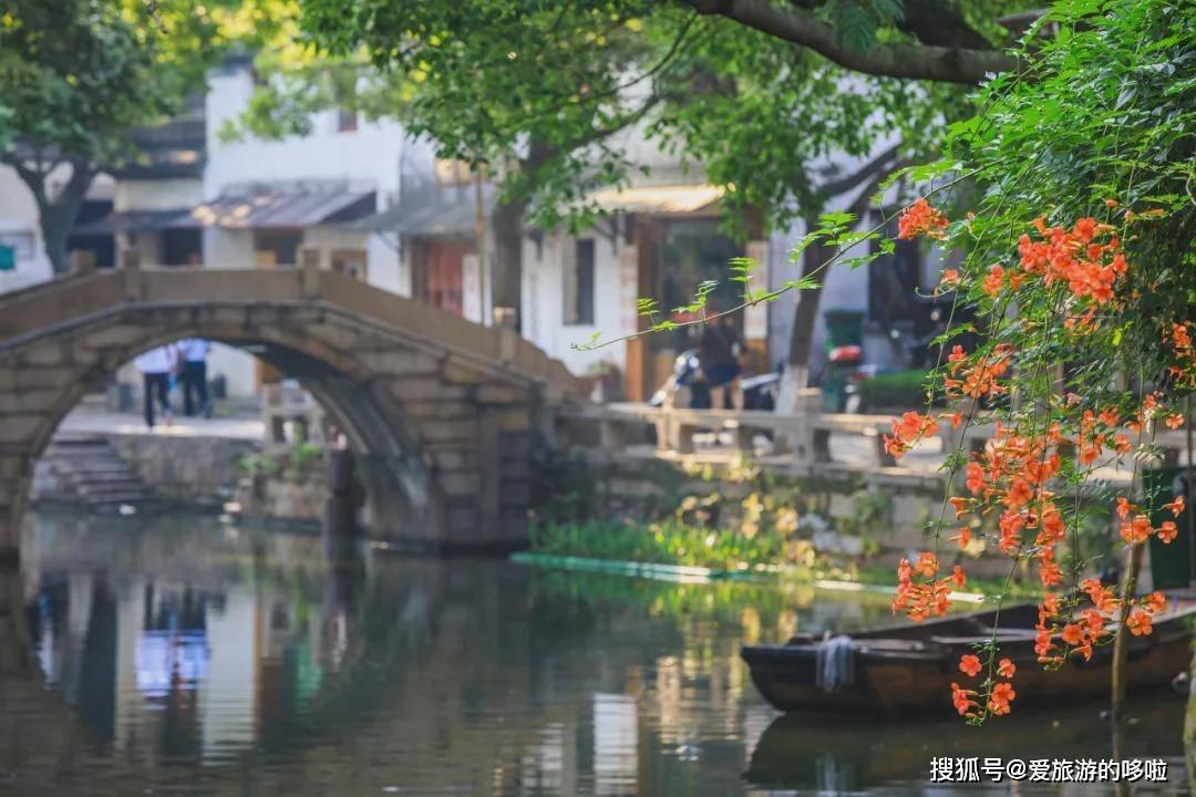 诱捕小浣熊