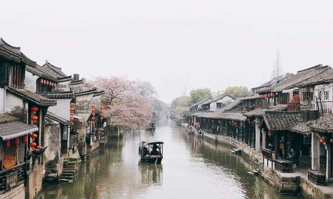 88影视