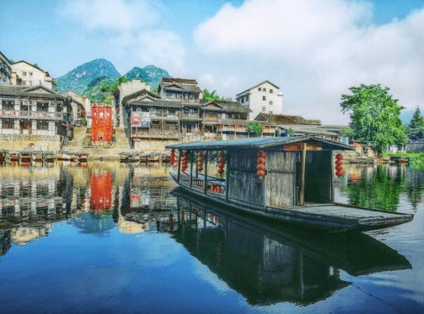 专家在线交流,斑鸠的繁殖期有问必答